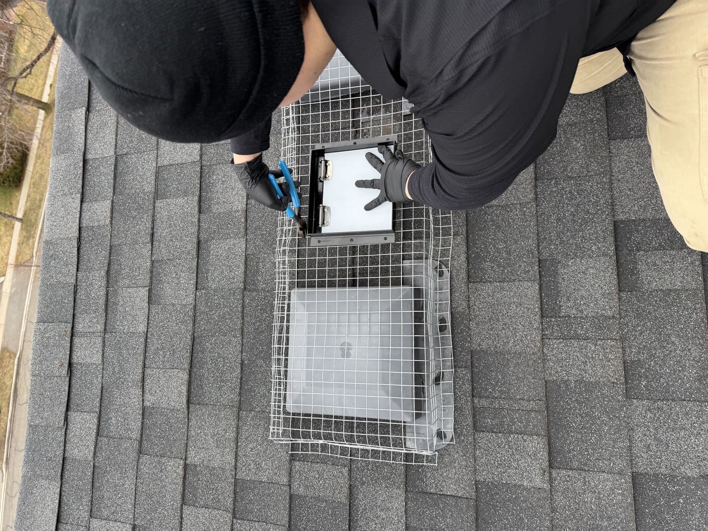 Rodent Control