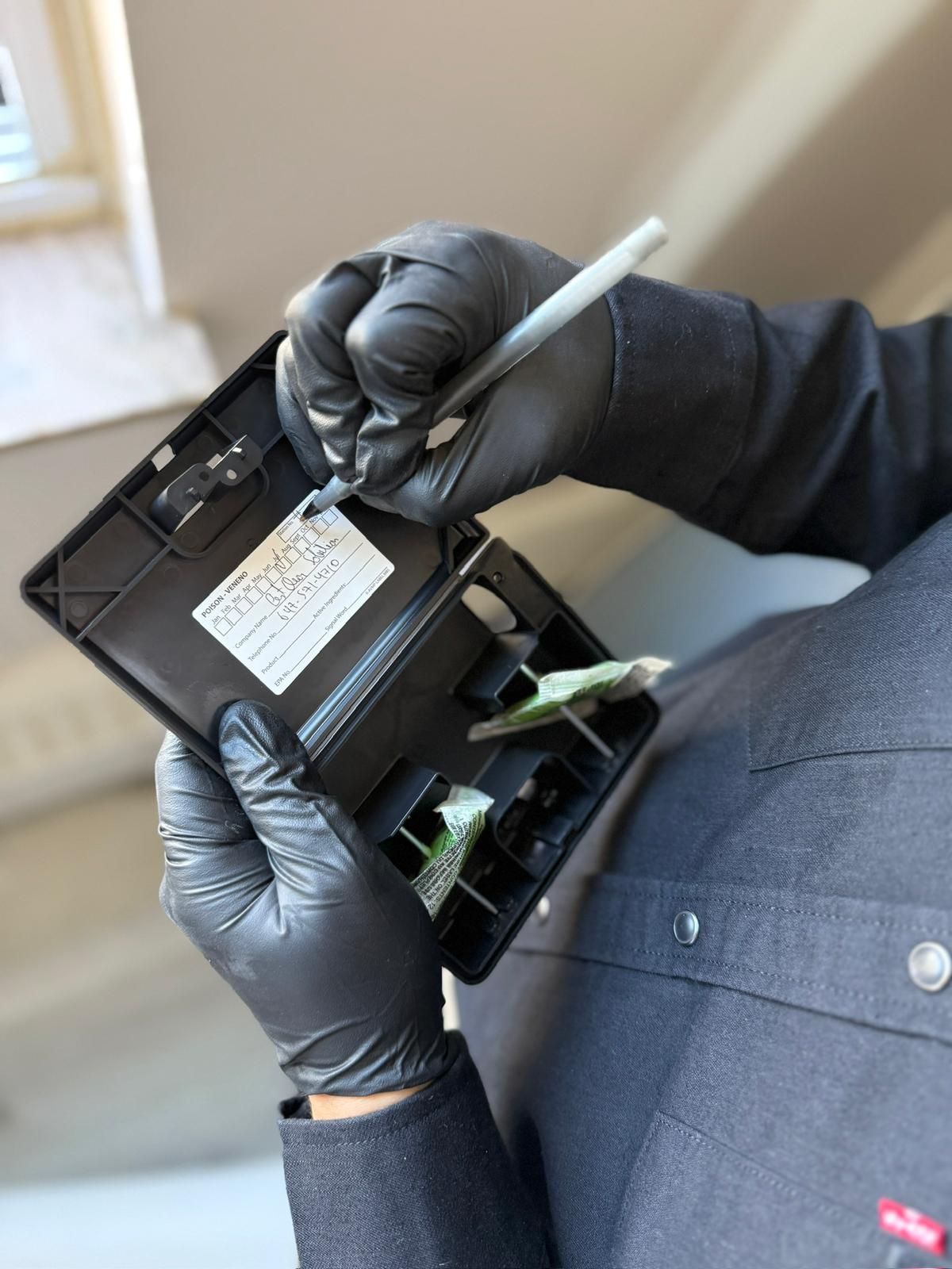 Commercial Inspection 3